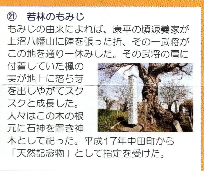 21 若林のもみじ