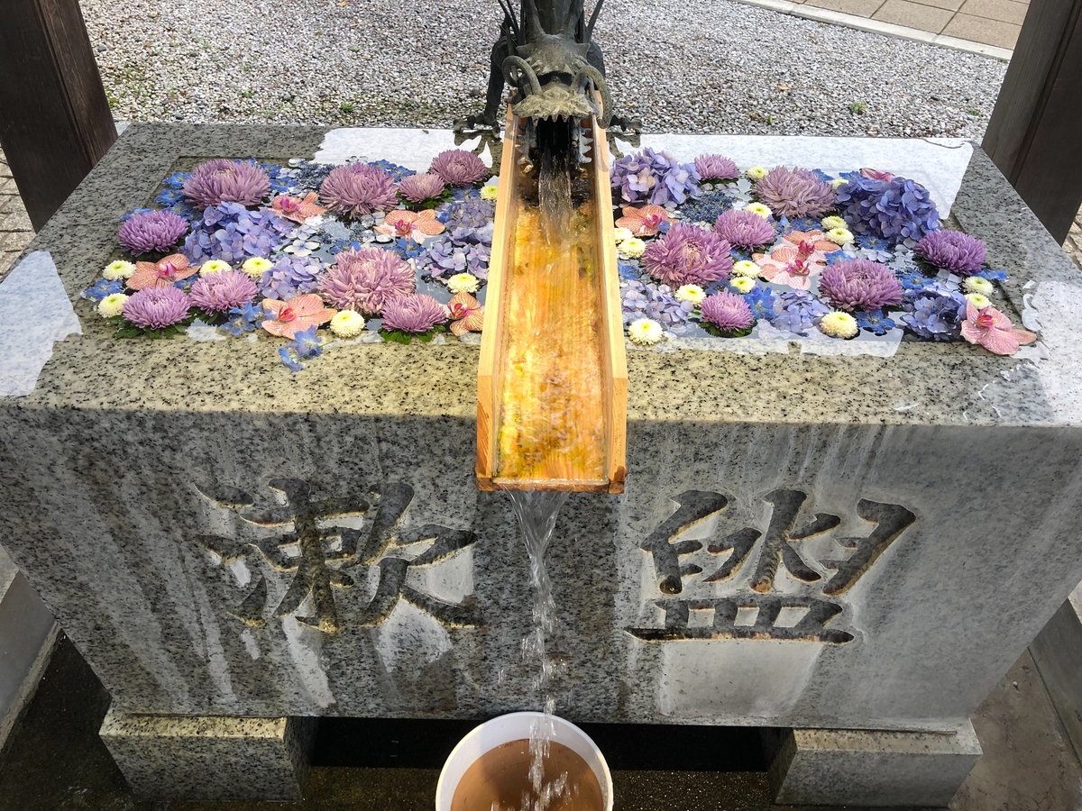 かわいい!華やか!花手水(川越八幡宮)