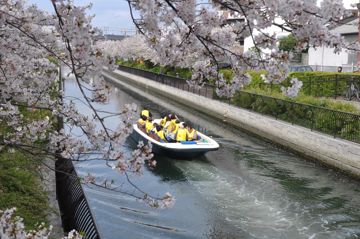 Sakai Nonbiri Cruise