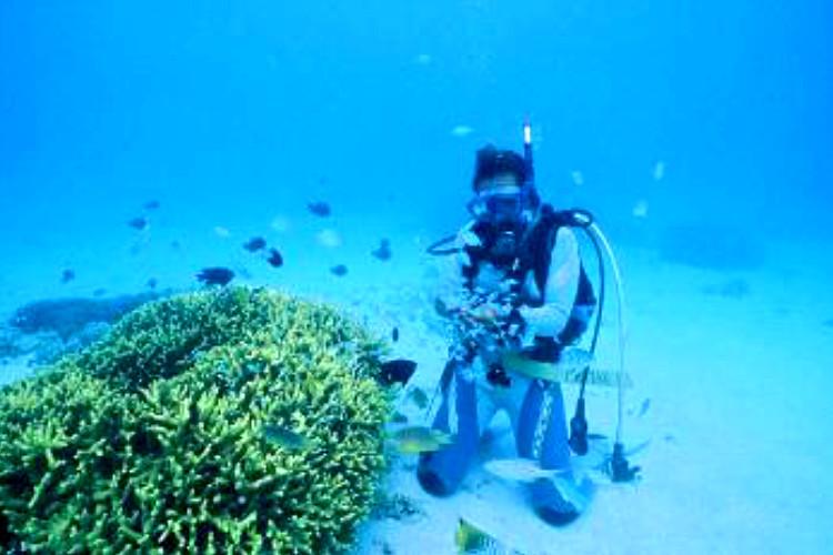 Pricia Marine & Diving