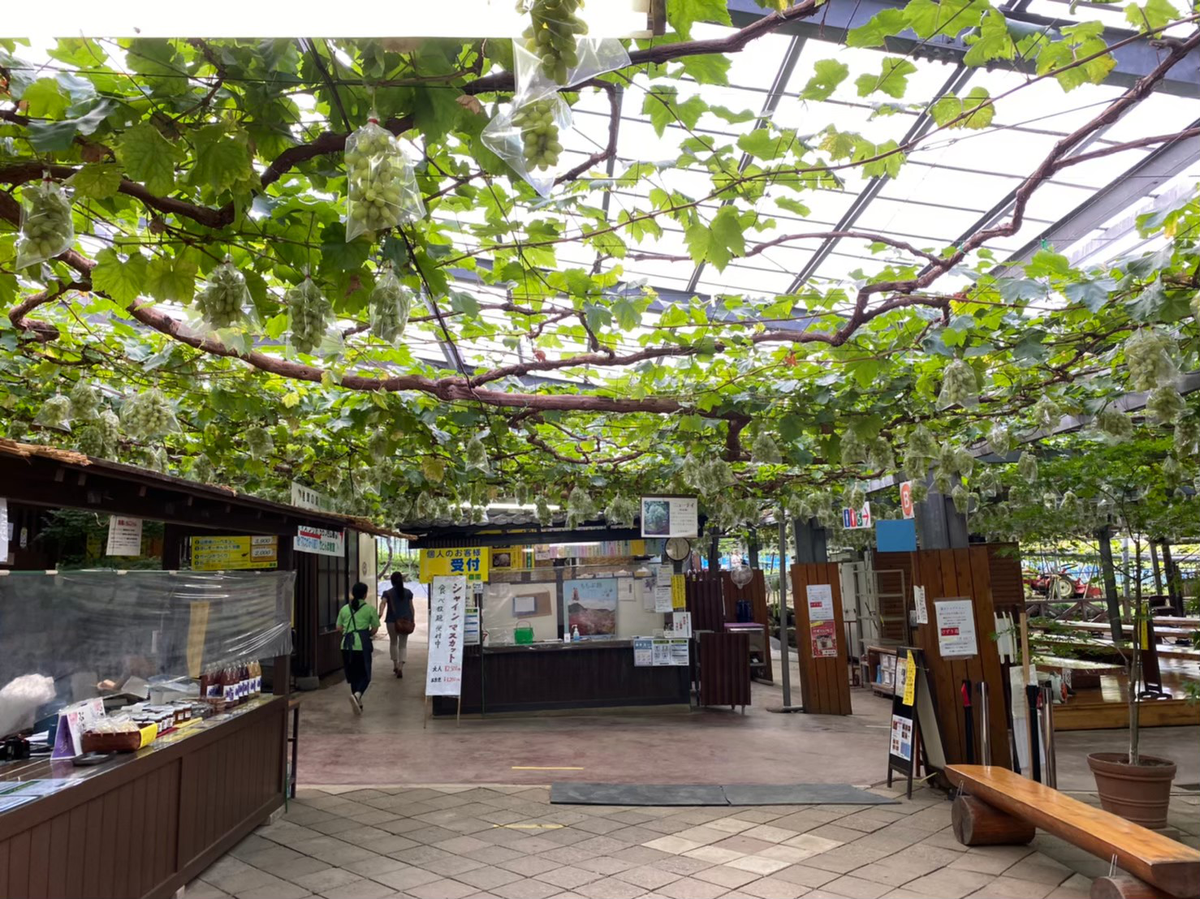 小松沢レジャー農園