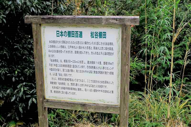 松谷棚田展望所