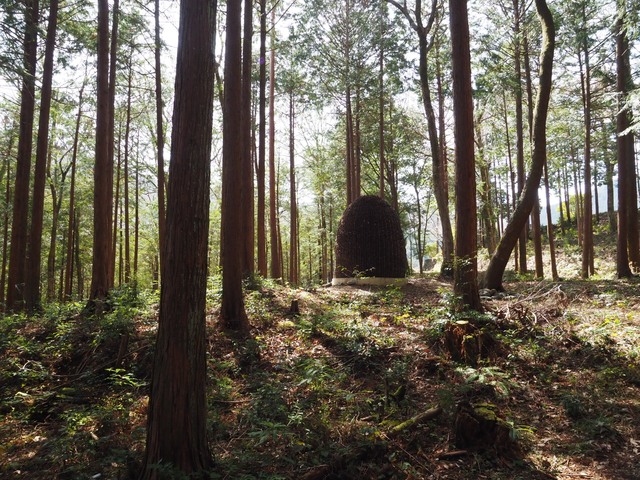 神山アーティスト・イン・レジデンス