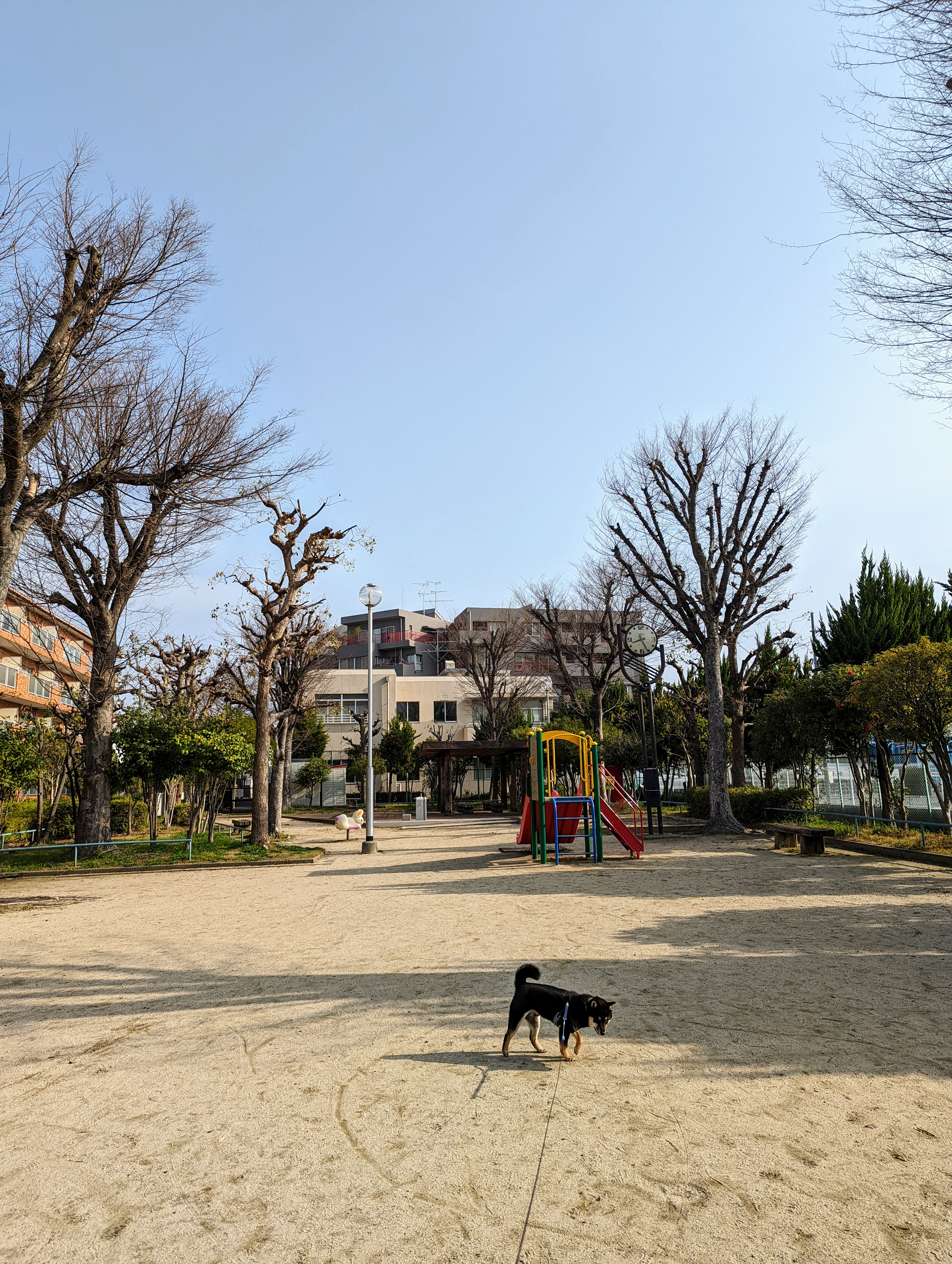 千成町公園's image 1