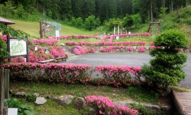 大正村明智の森
