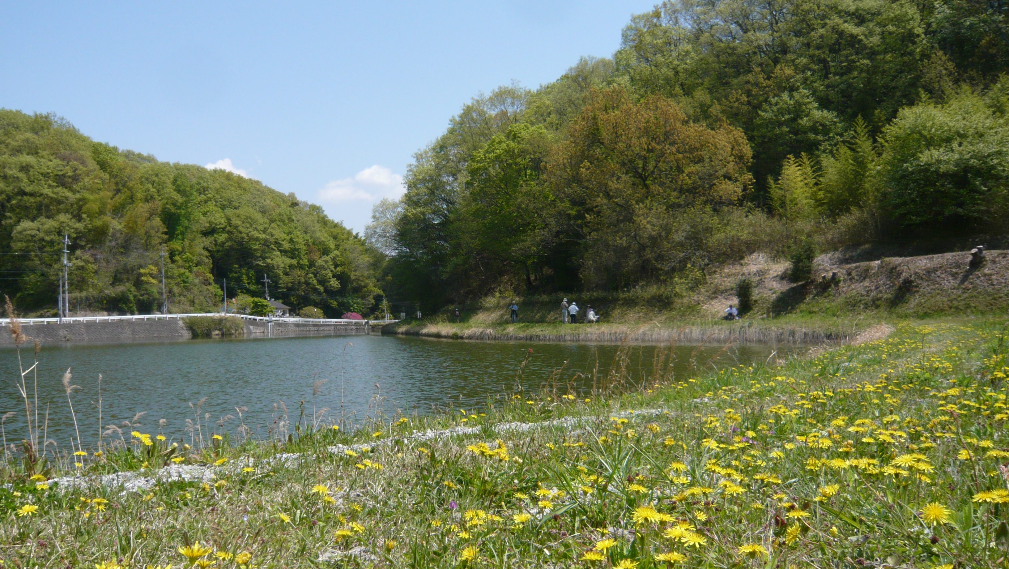 鳥谷池と池越えで眺める嶽山's image 1