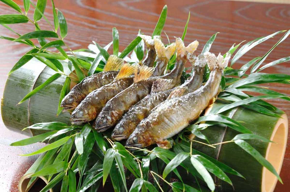 奥貴船 兵衛/兵衛Café