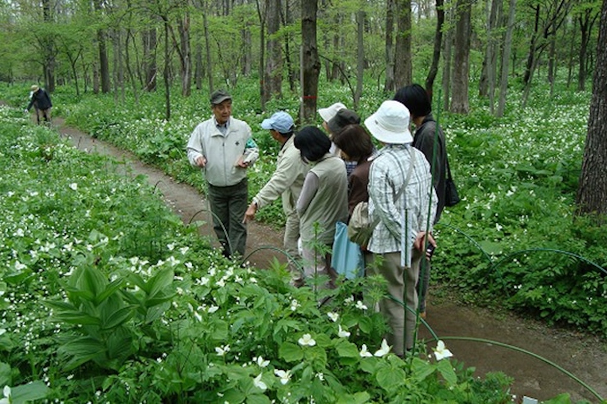 帯広市野草園