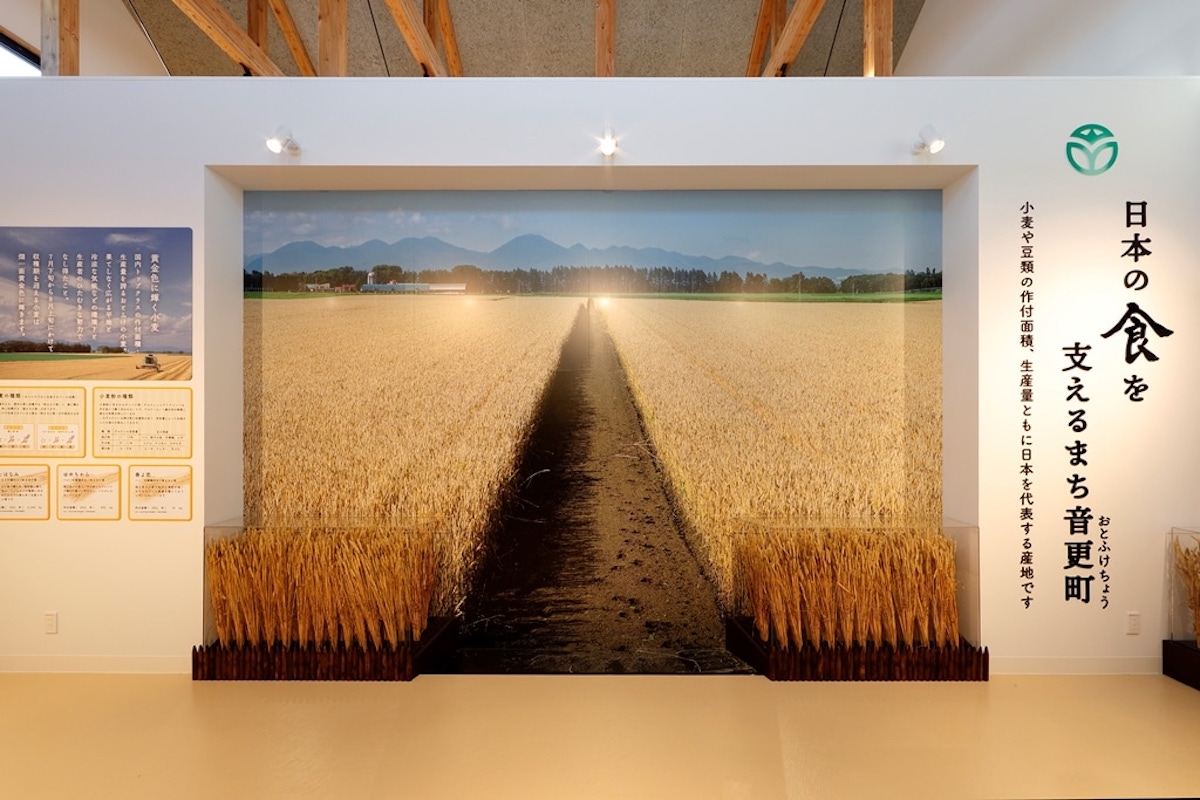 道の駅おとふけ「なつぞらのふる里」