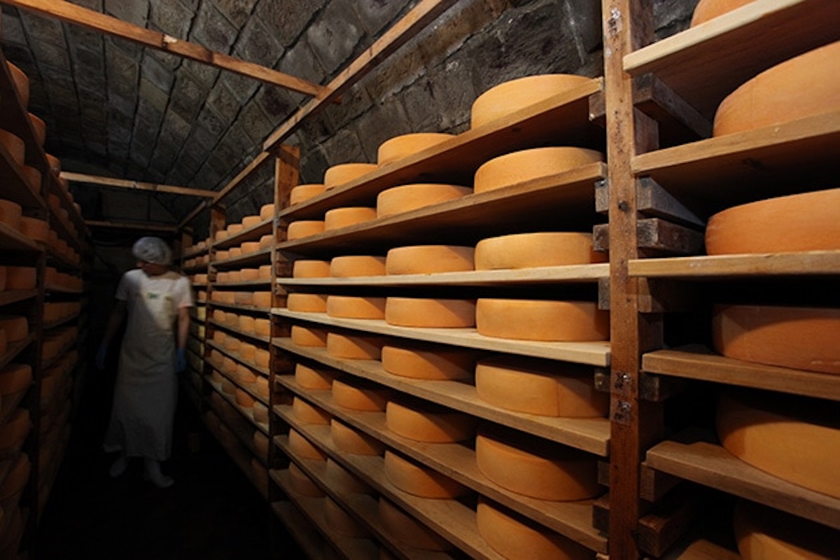 共働学舎新得農場