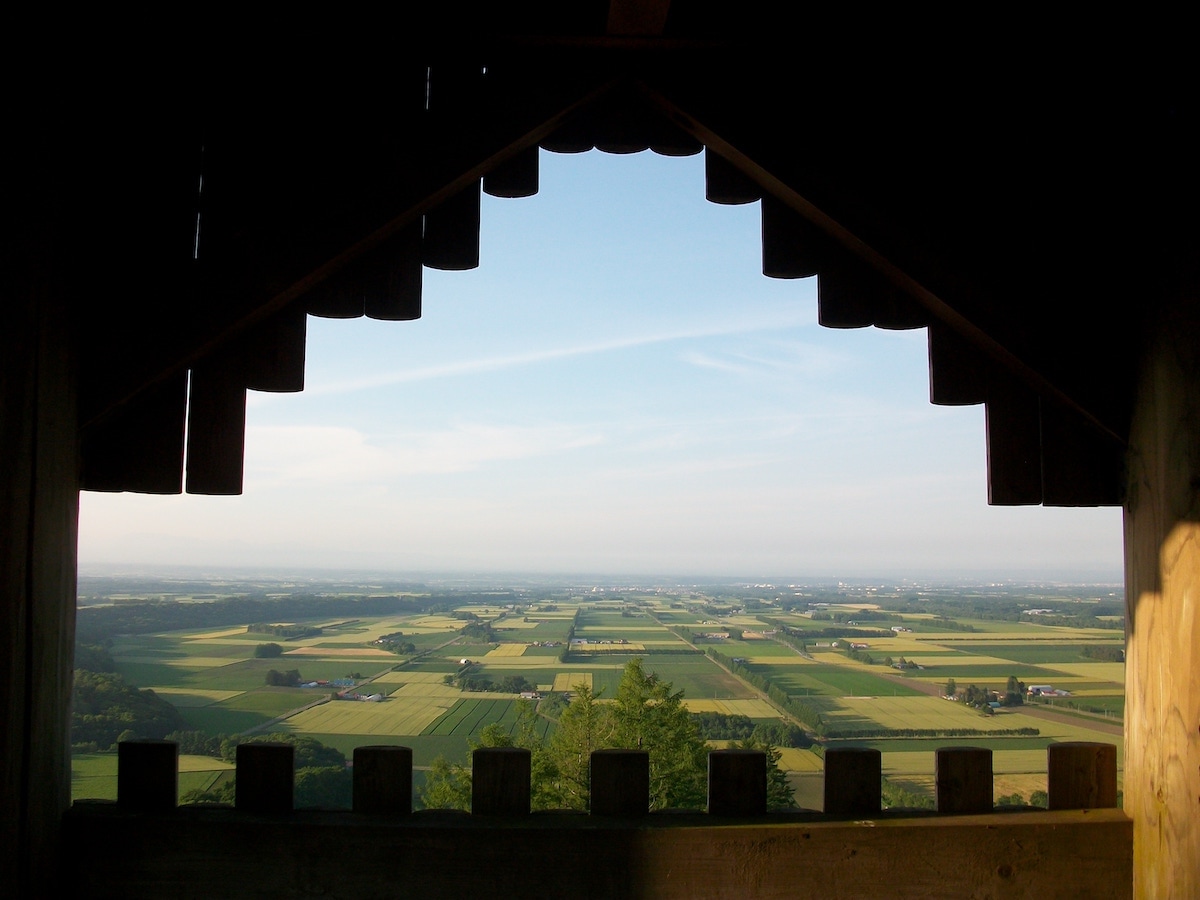 新嵐山スカイパーク展望台