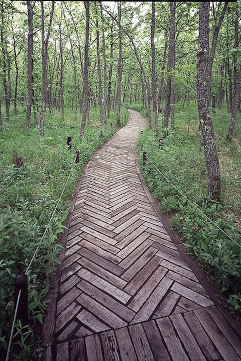 中札内村美術館