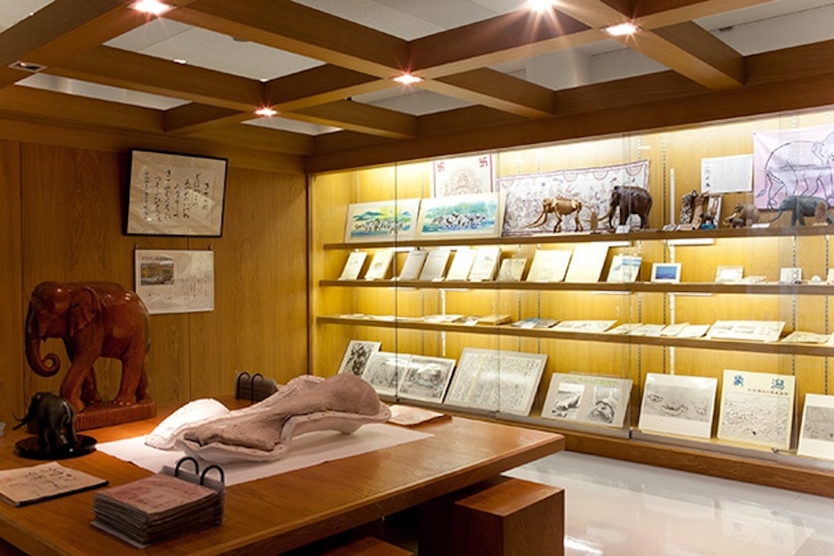 忠類ナウマン象記念館