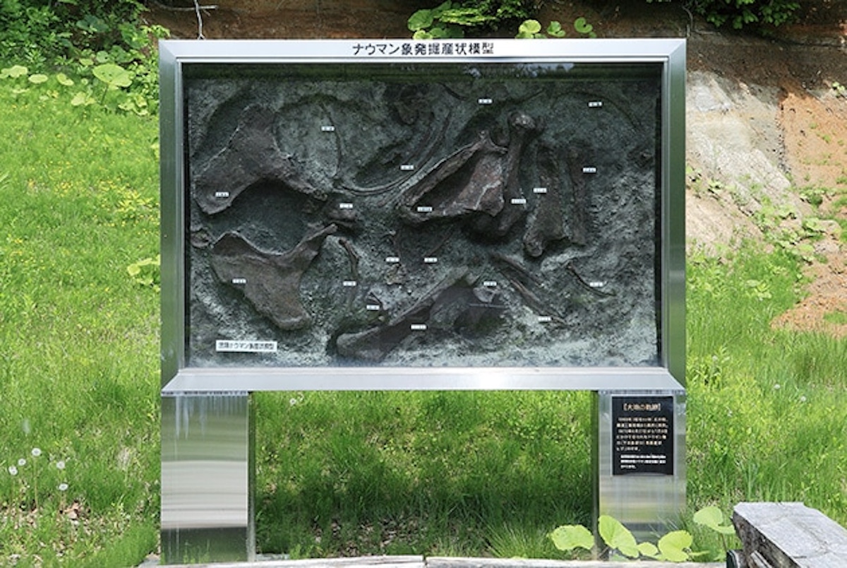 ナウマン象発掘の地