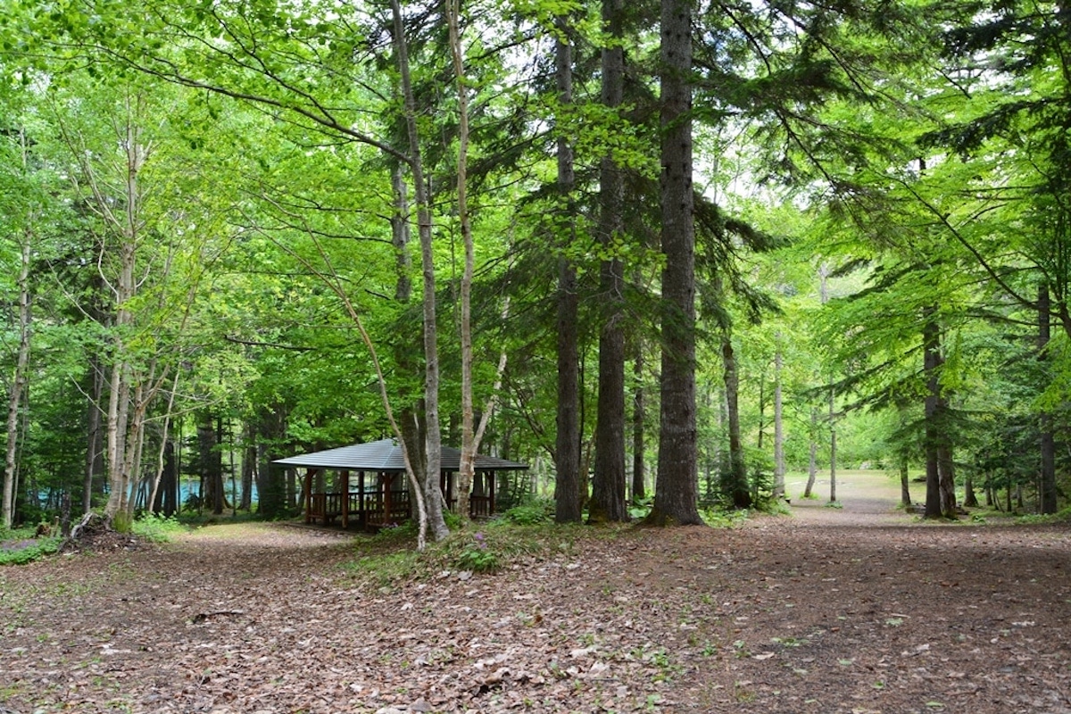 オンネトー国設野営場