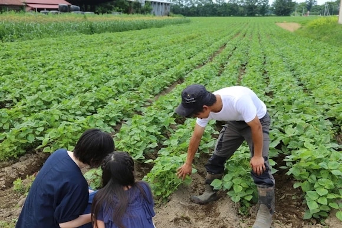 ベジイキングダム
