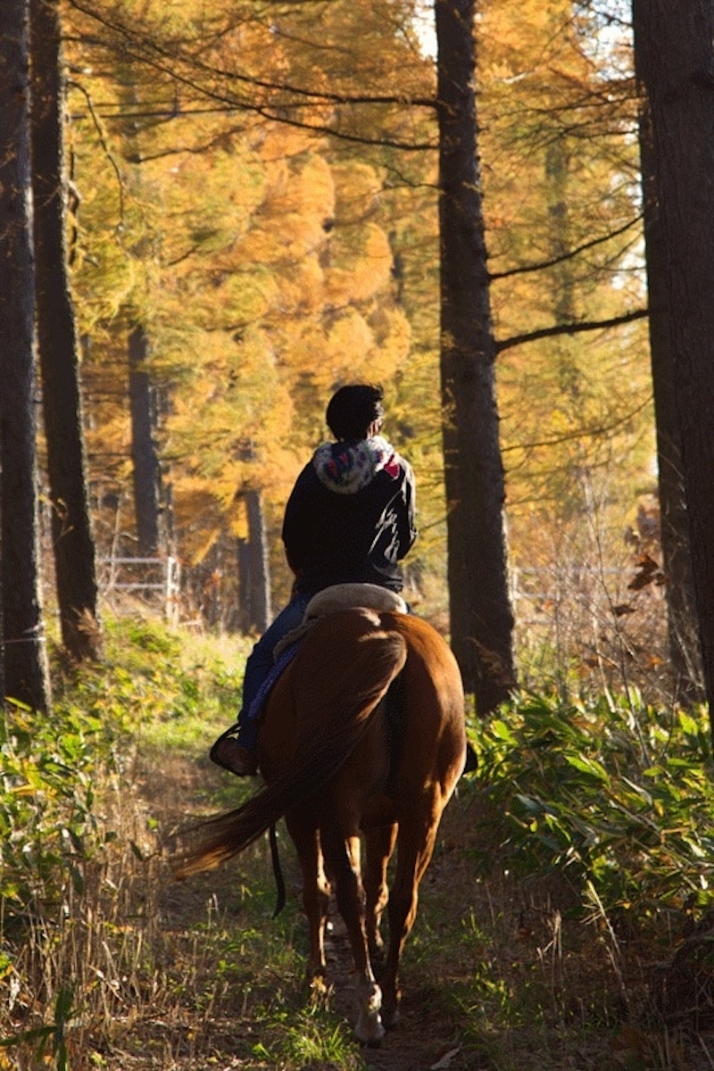 乗馬(マイステーブル)