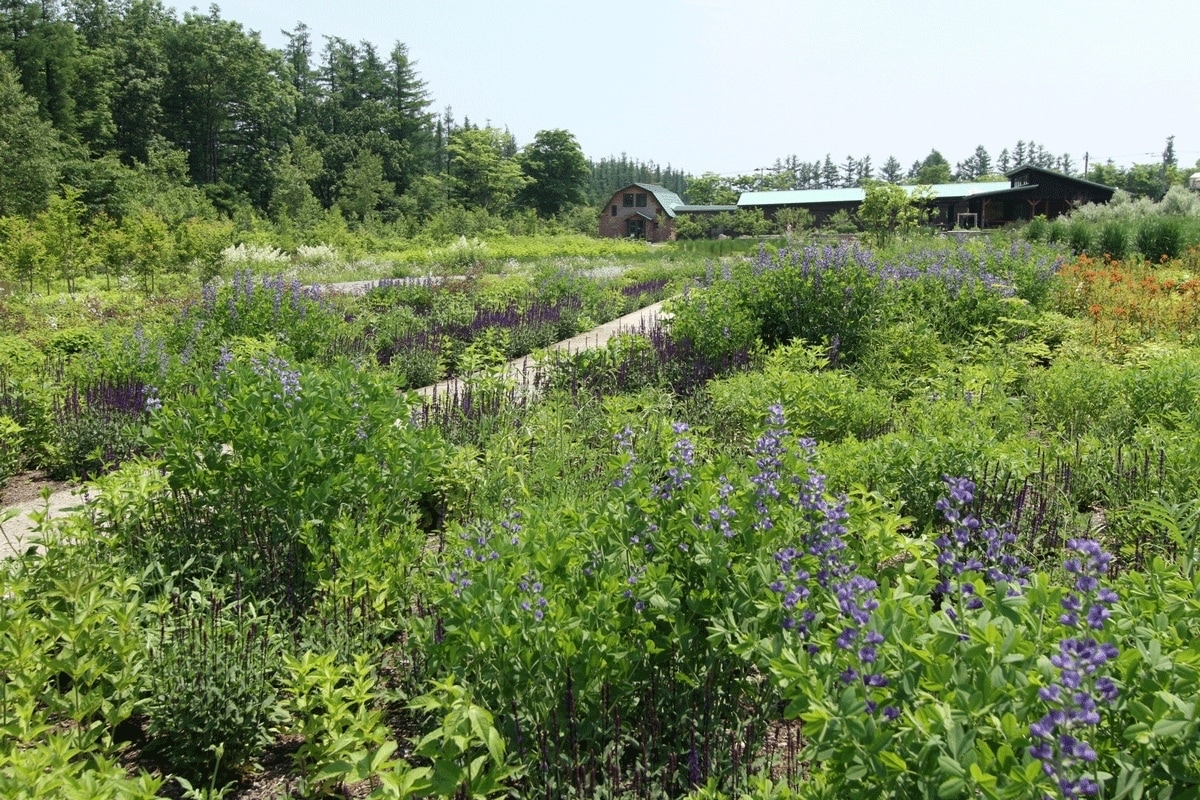 セグウェイガイドツアー