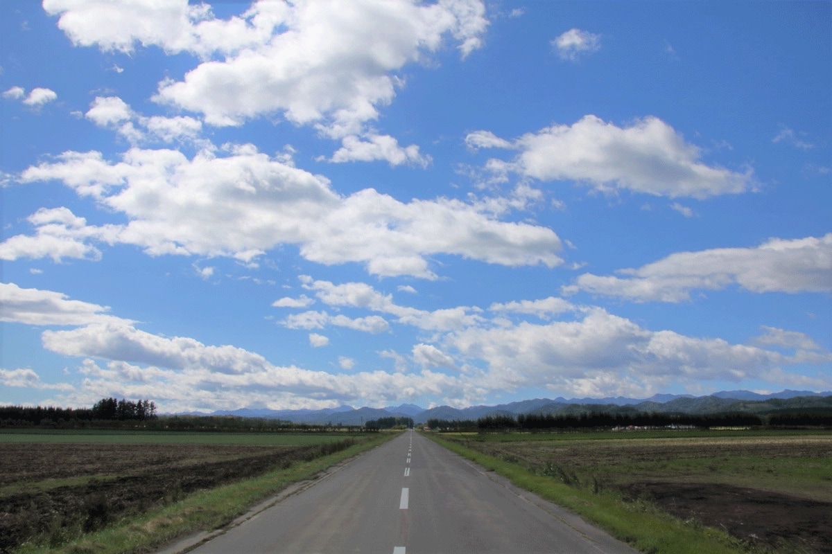 レンタサイクル「ピーチャリ」