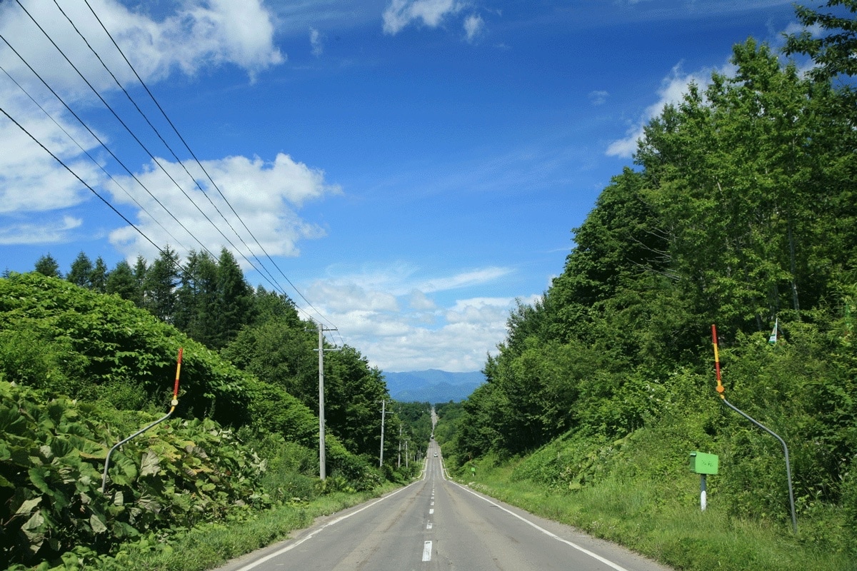 レンタサイクル(activity centre ANDOOR)