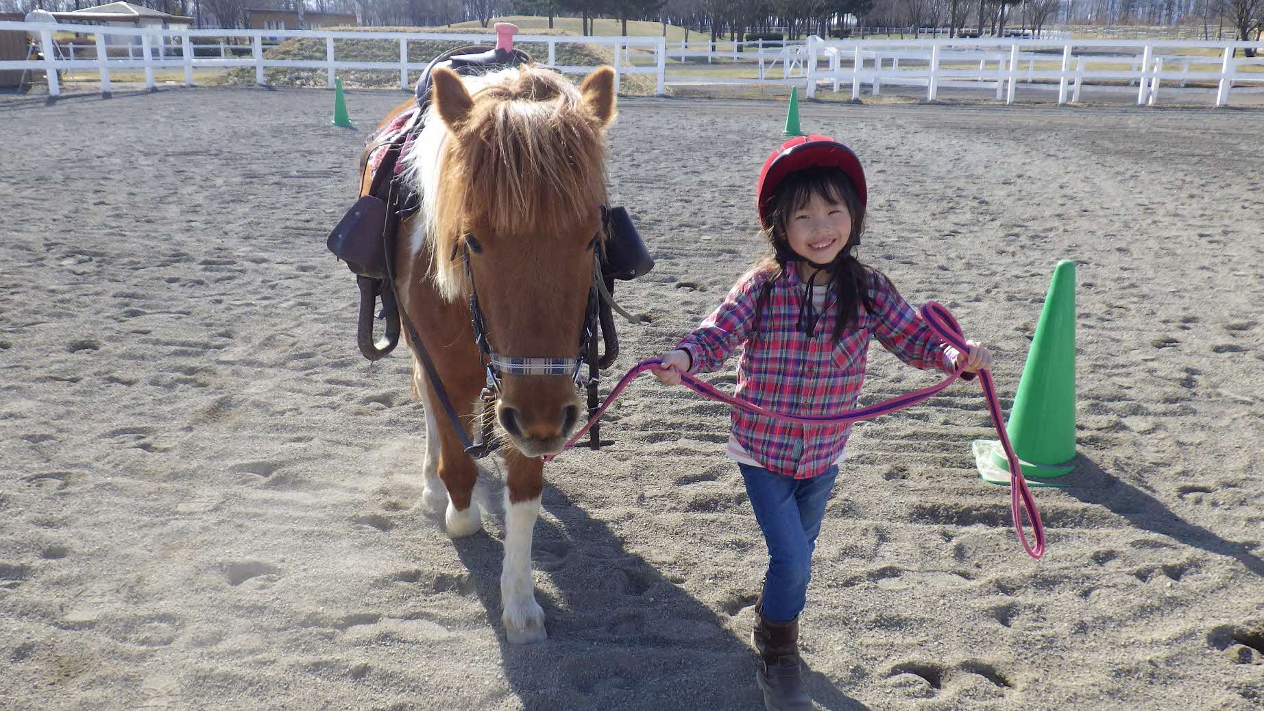 乗馬体験(ライディングパーク)