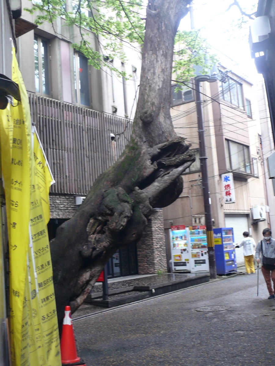 厚生病院（明石博高邸）／明石湯