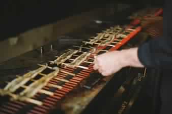 Shimomura Syoten(Anago)