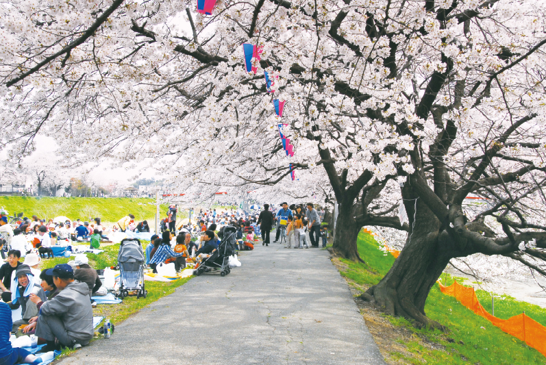 志木さくらフェスタ（3月、4月）