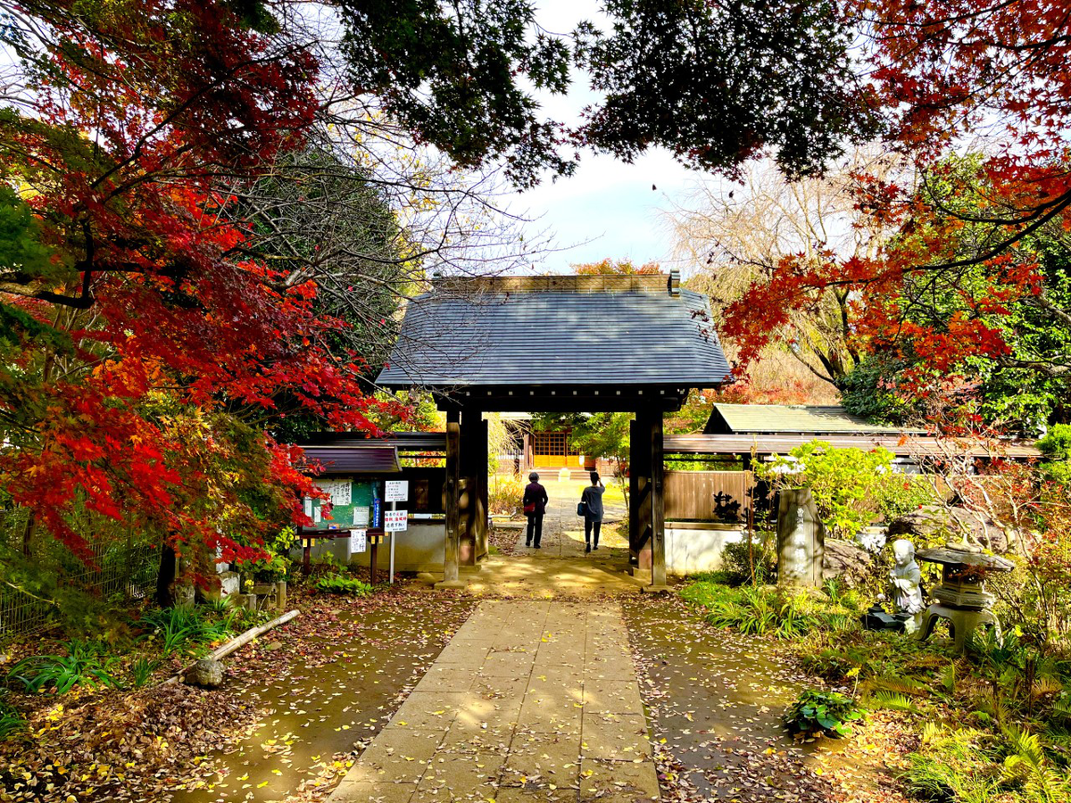 興禅院​   " 緑に囲まれた曹洞宗の寺院"'s image 1