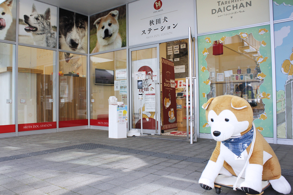 秋田犬ステーション