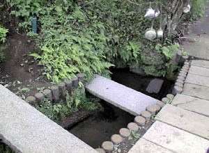 Chushiro Shimizu (spring)