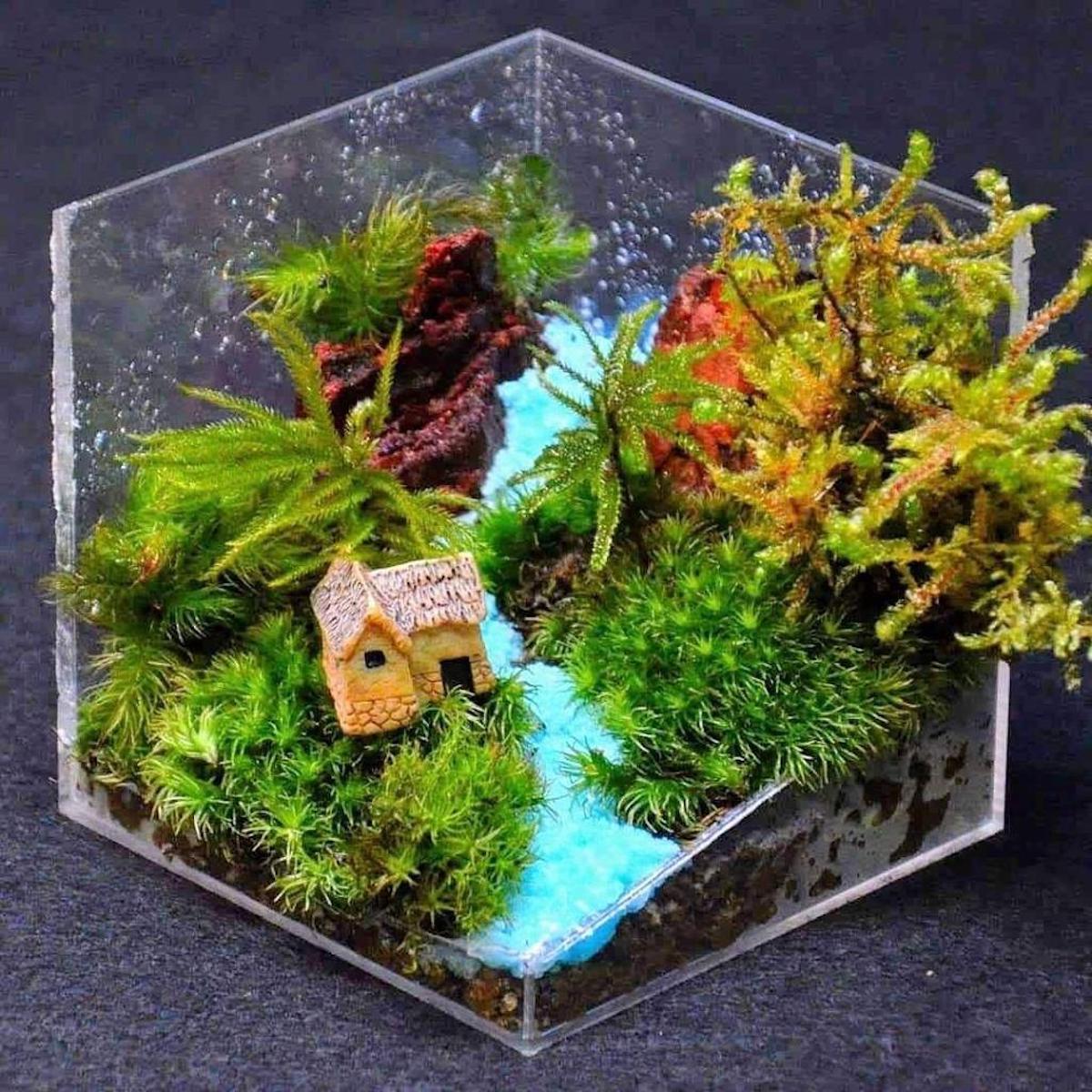 Sakuraya Izuhara Dry Cleaning Delivery + Moss Terrarium Workshop Izuhara