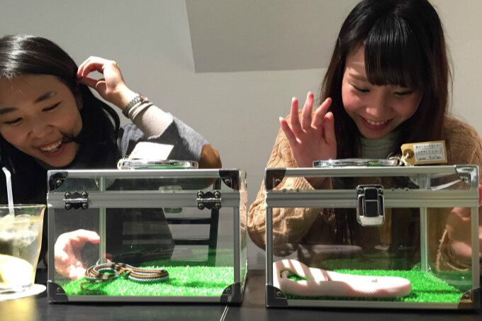 へびカフェ　Snake Cafe's image 1