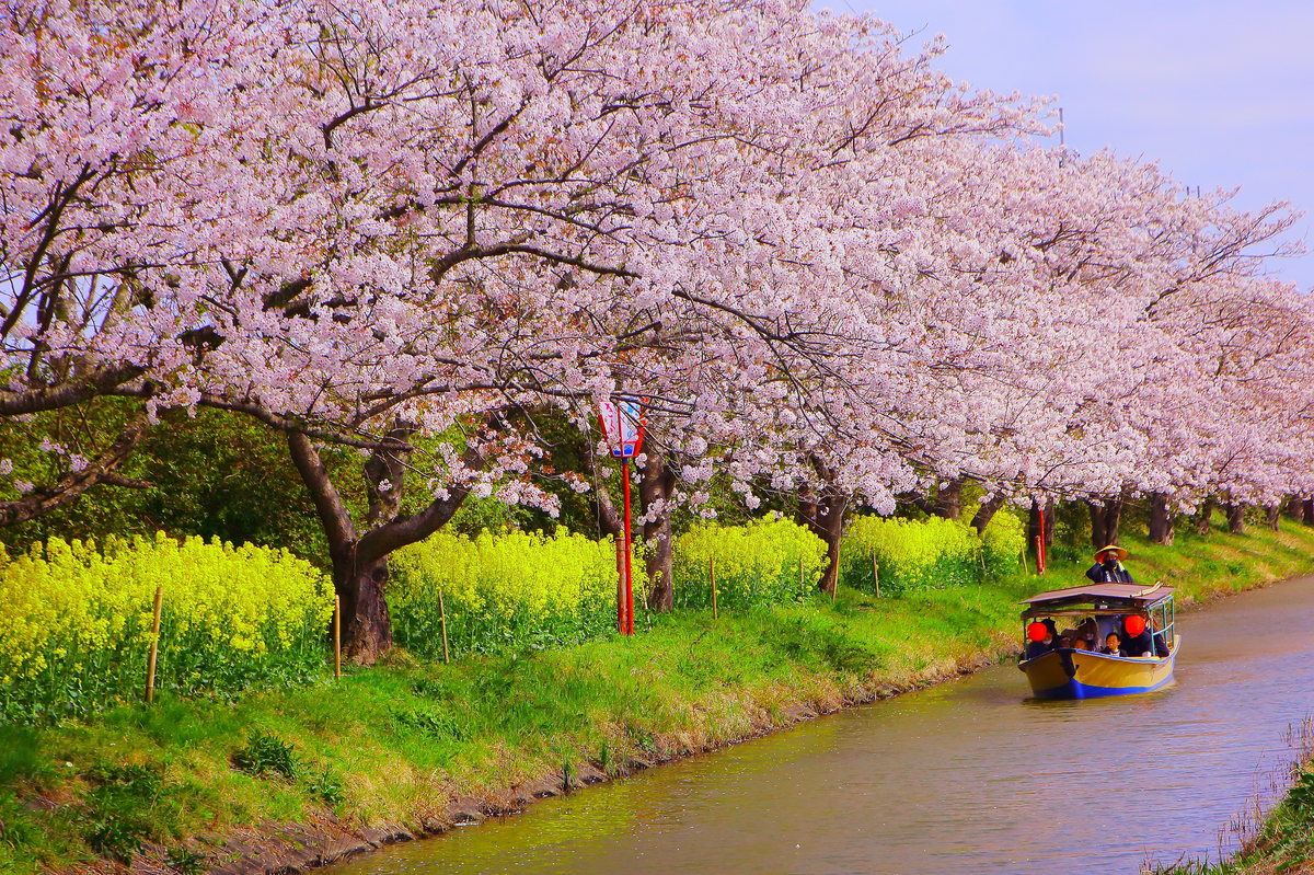 Suigomeguri (Kitanosho-cho)