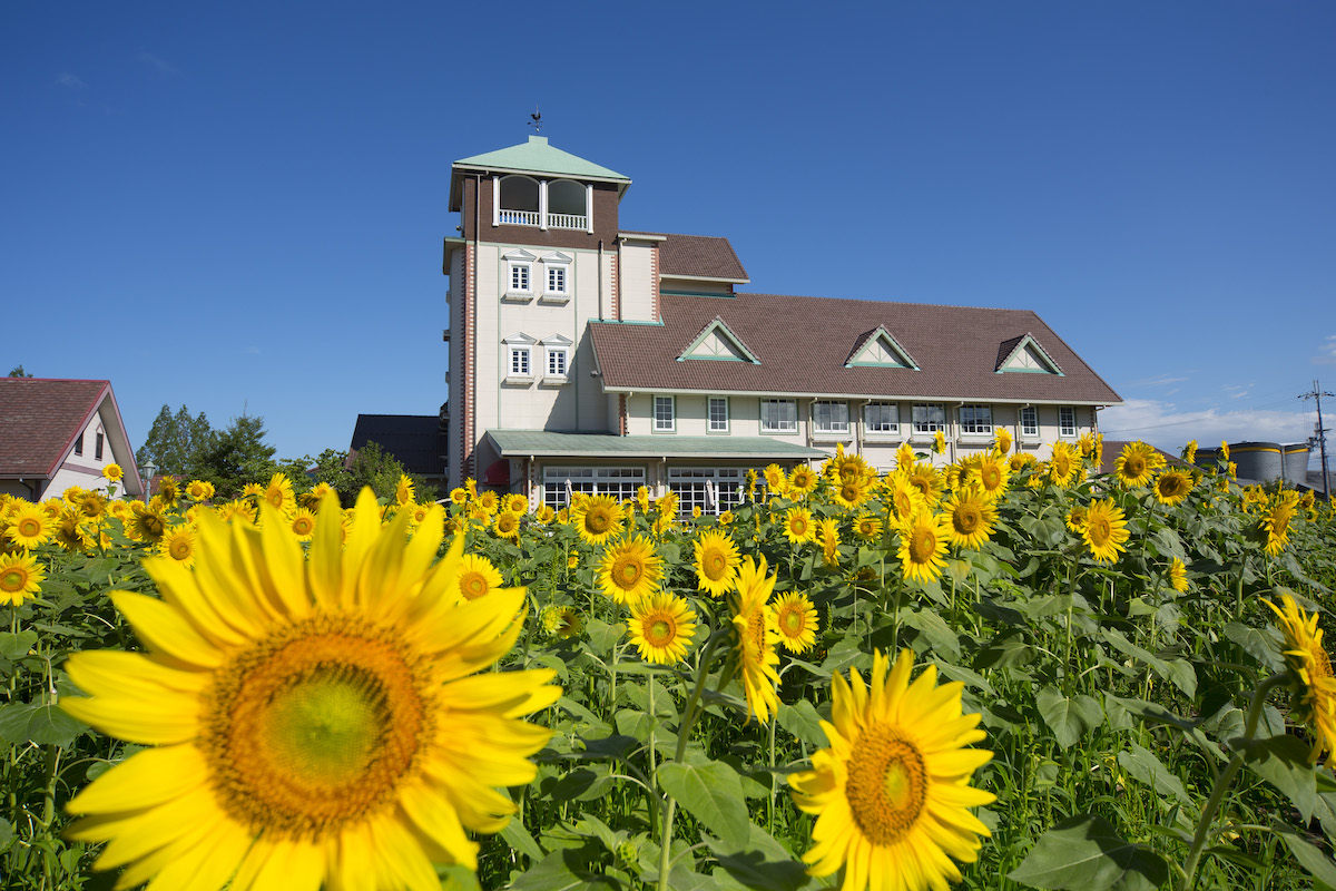 AIto Marguerite Station
