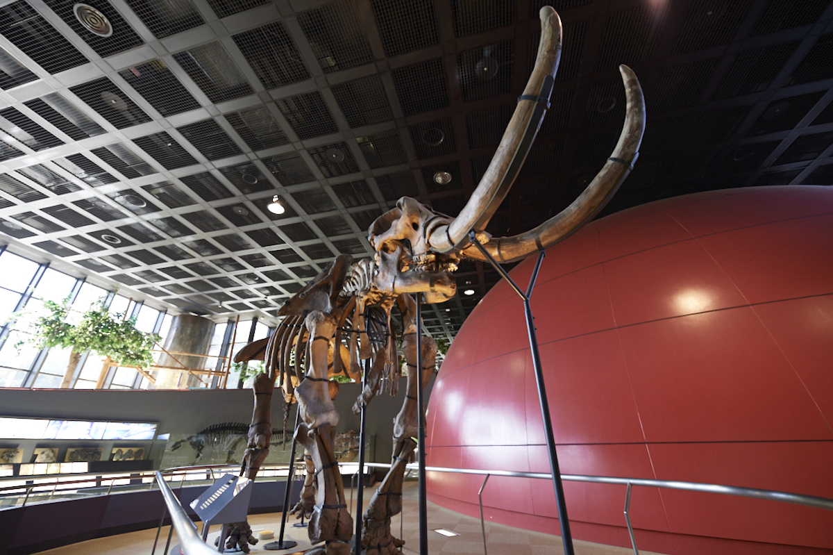 Museum of Nature and Human Activities, Hyogo