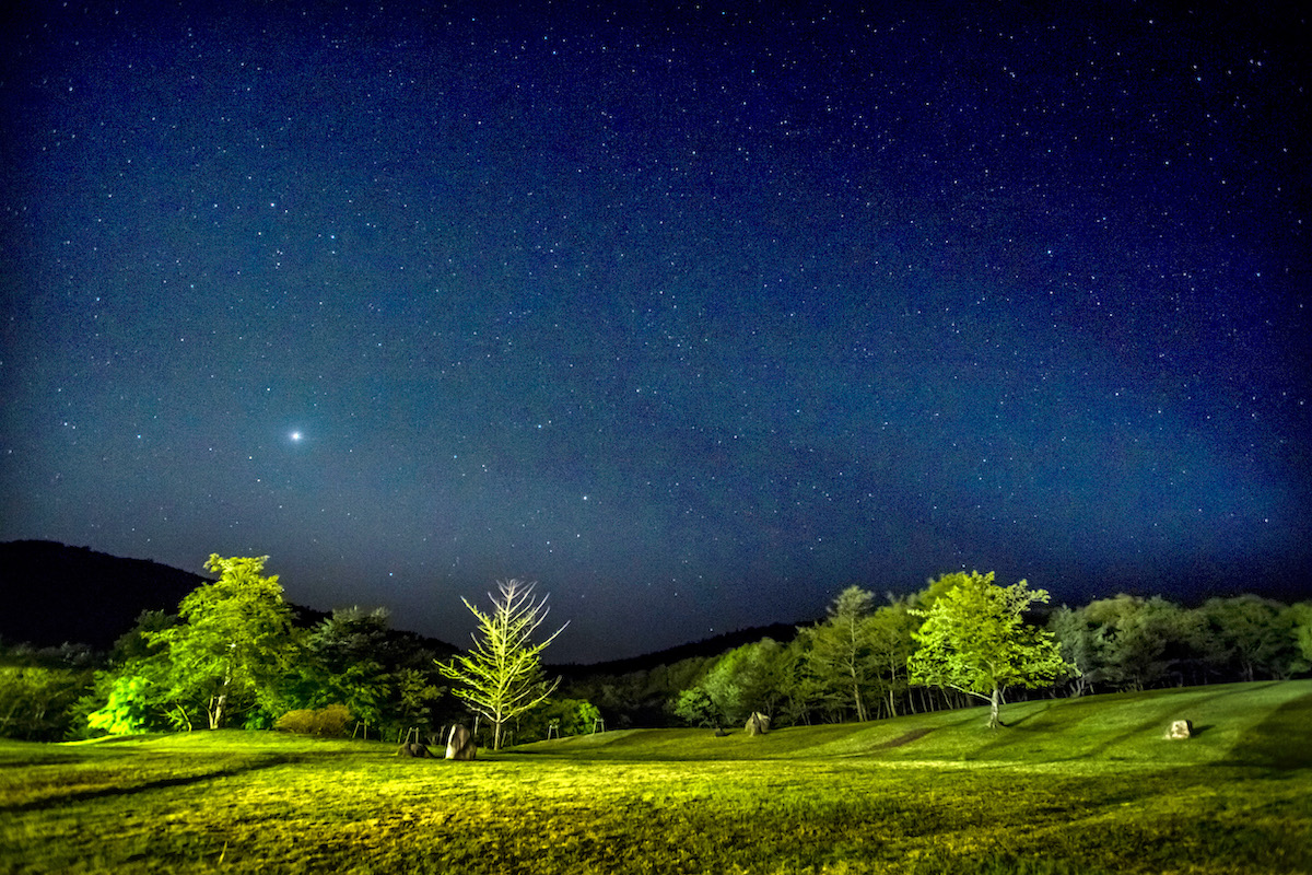 Relaxia Mineyama Kogen Hotel (Relaxia Forest)