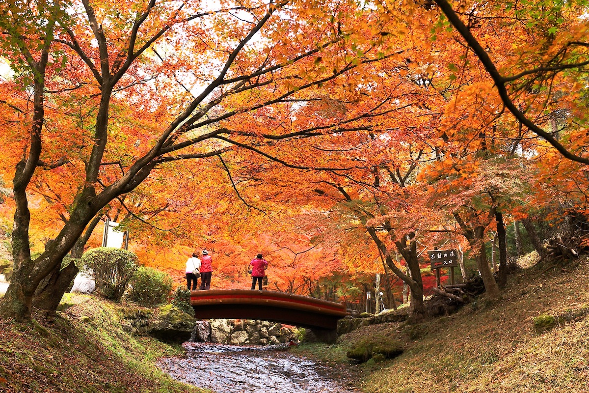 Higashiyama Park and Suspension Bridge