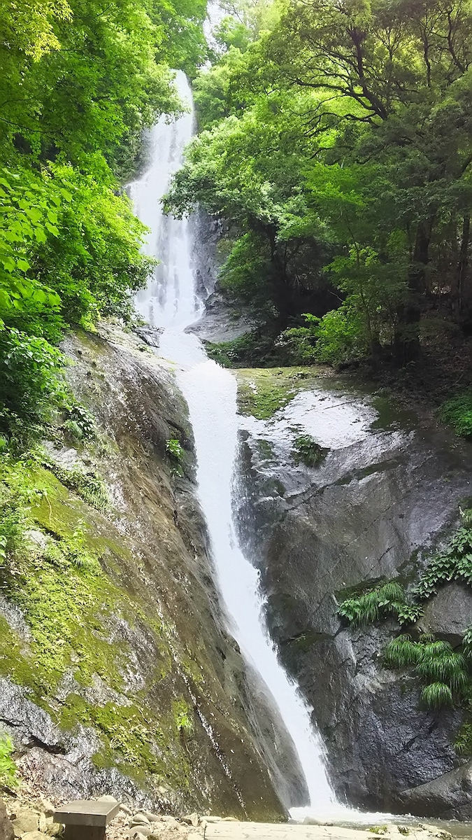 Saruo Waterfall (100 Best Waterfalls in Japan)
