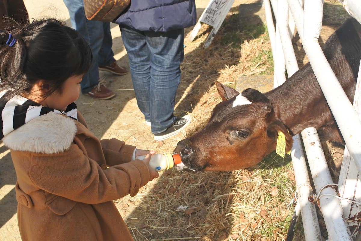 Awajishima Bokujo Farm