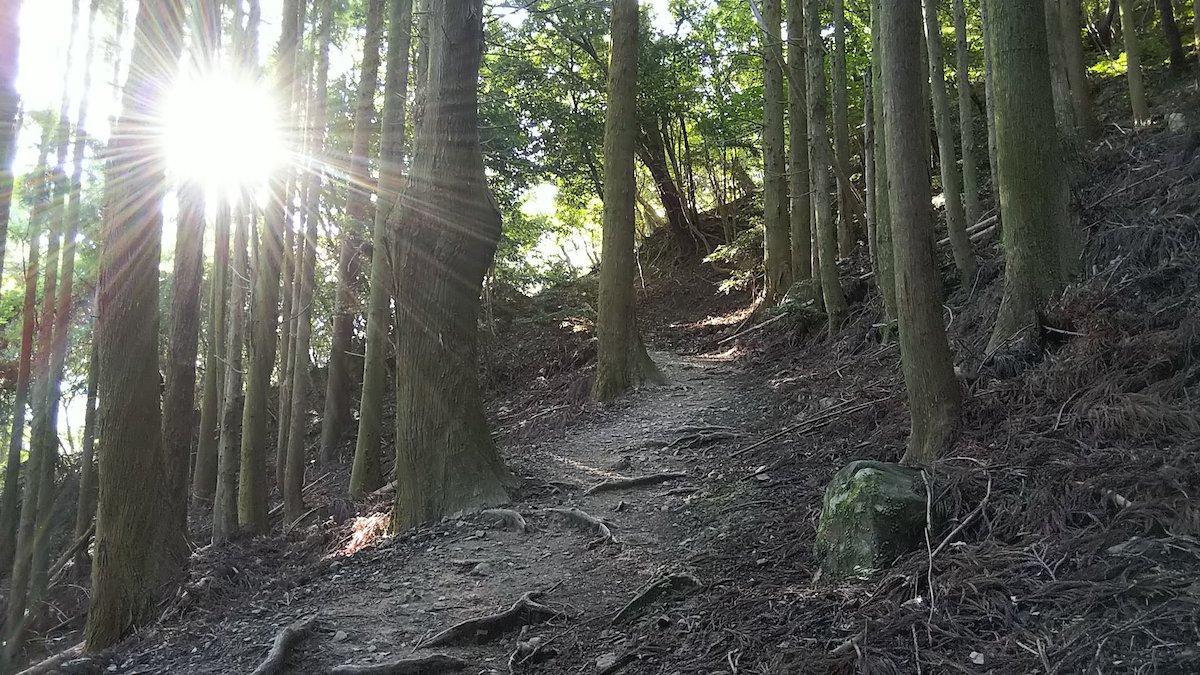 Mt. Yuzuruha