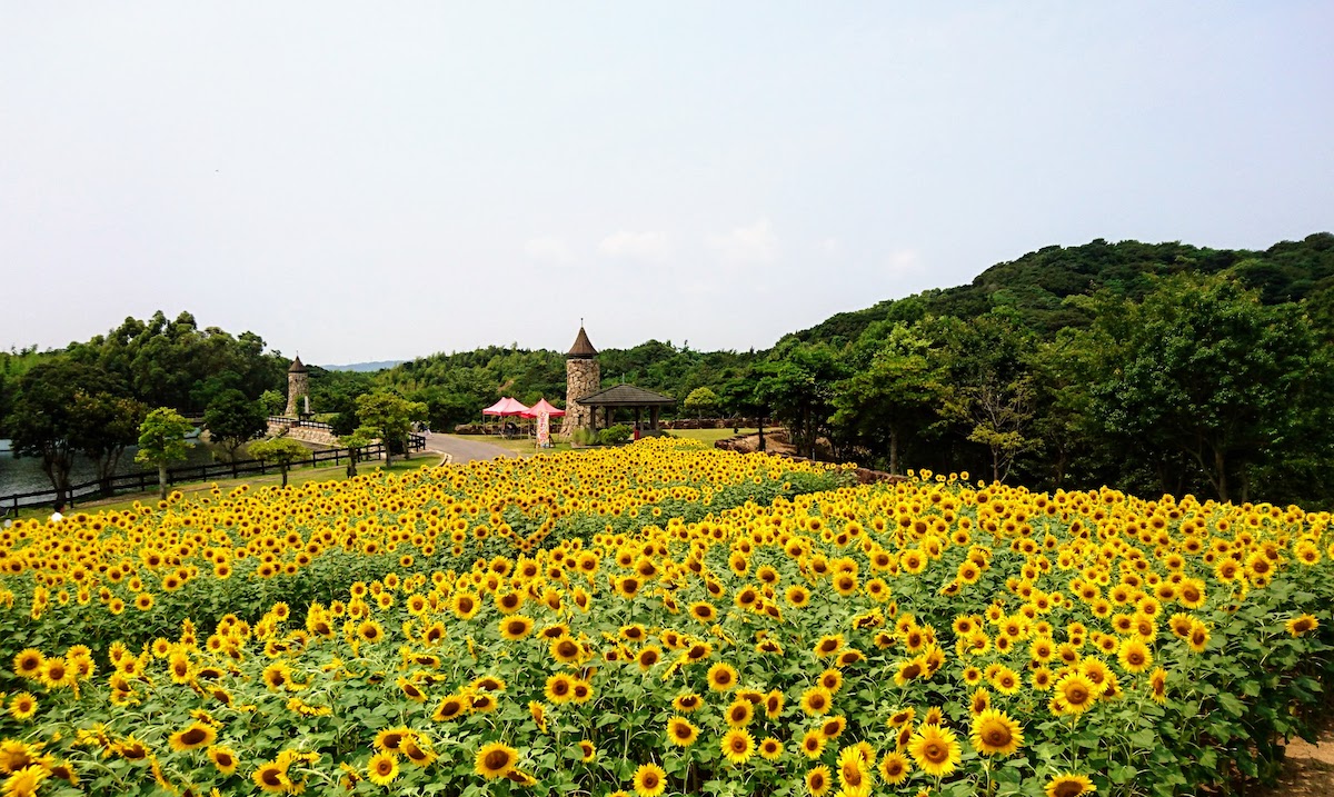 Awaji Farm Park England Hill