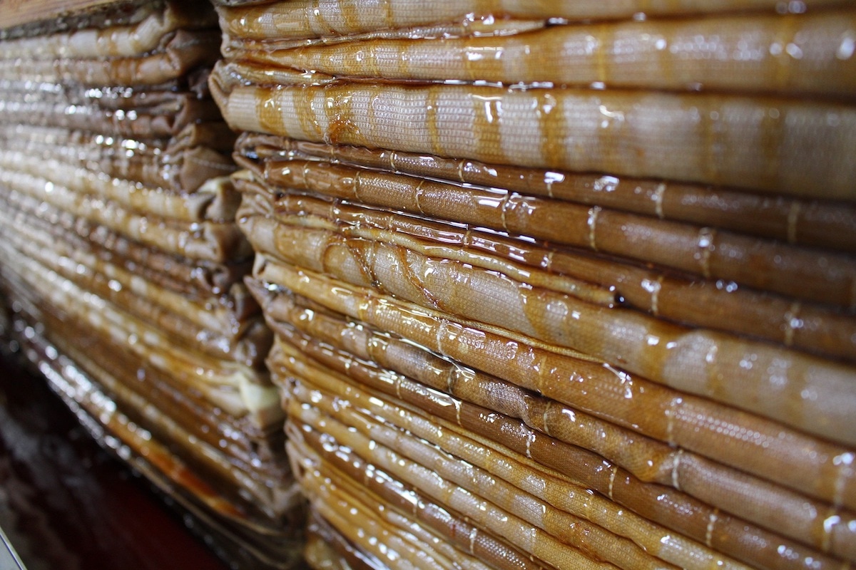 Organic JAS Certified Brewer of Vat-brewed Soy Sauce, Adachi Brewing