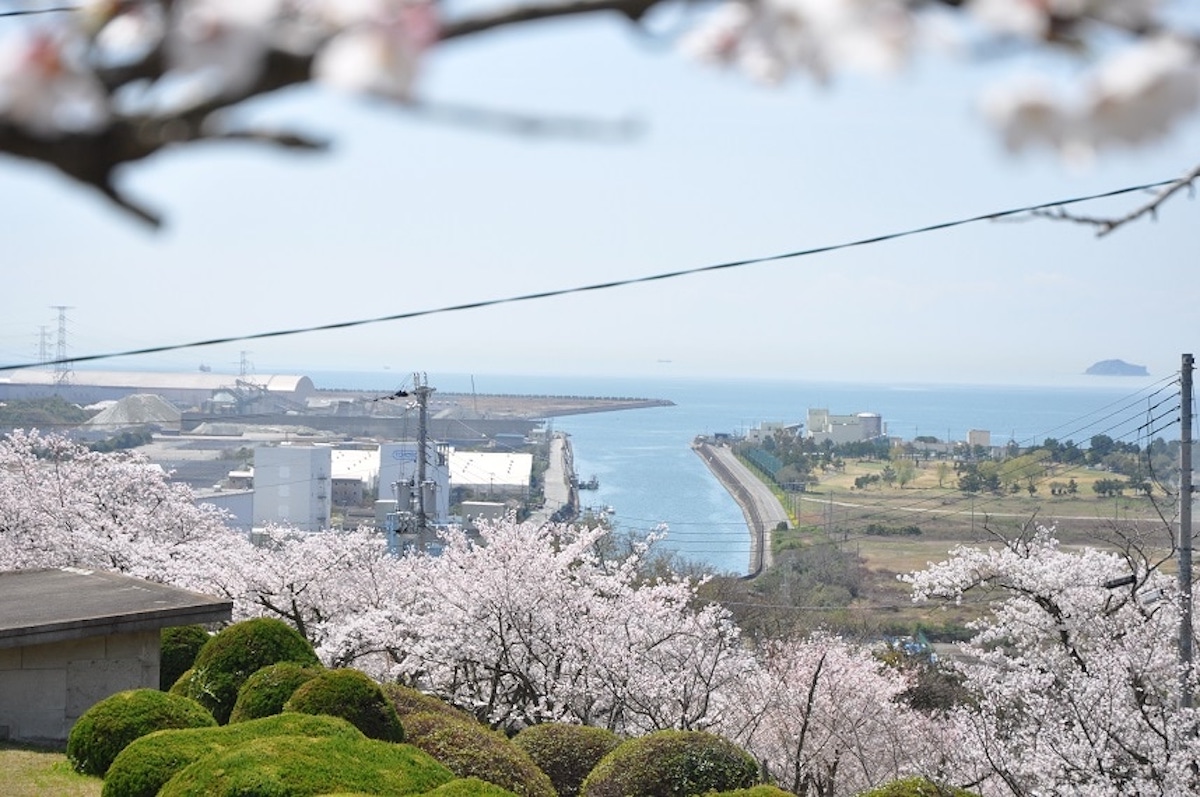 Mount Higasayama (cherry blossom viewing spot)