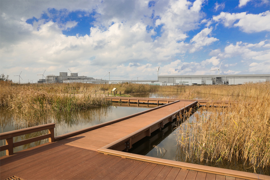 響灘ビオトープ