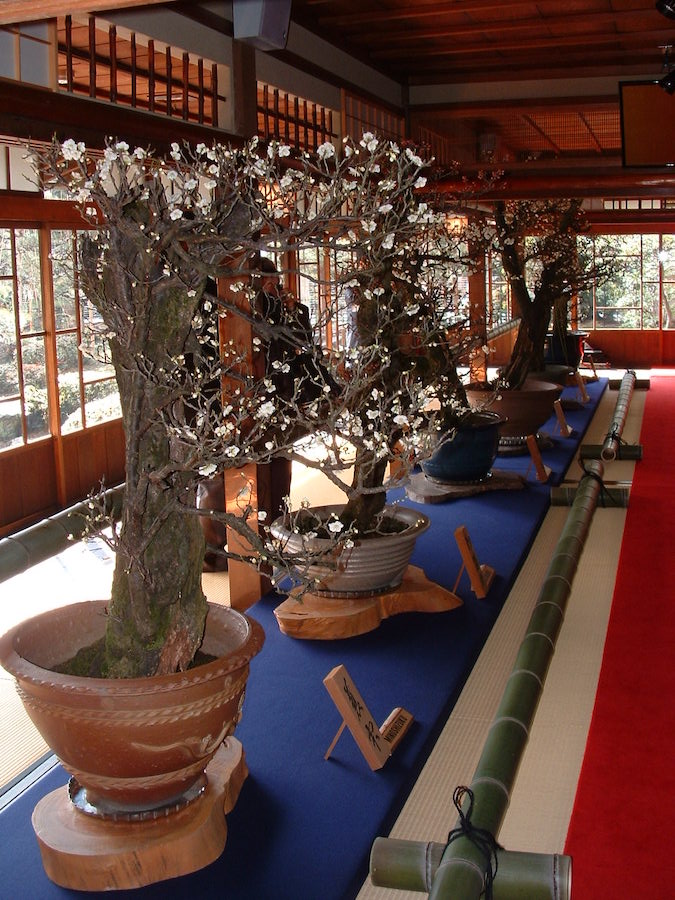 Nagahama Bonbai Exhibition