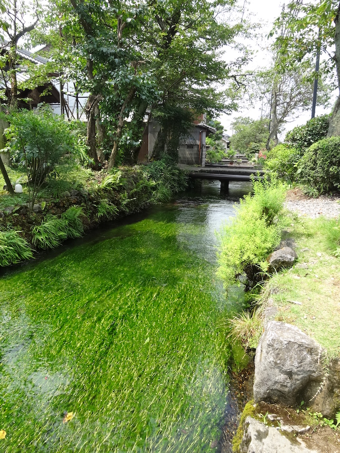 Baikamo in Jizo River