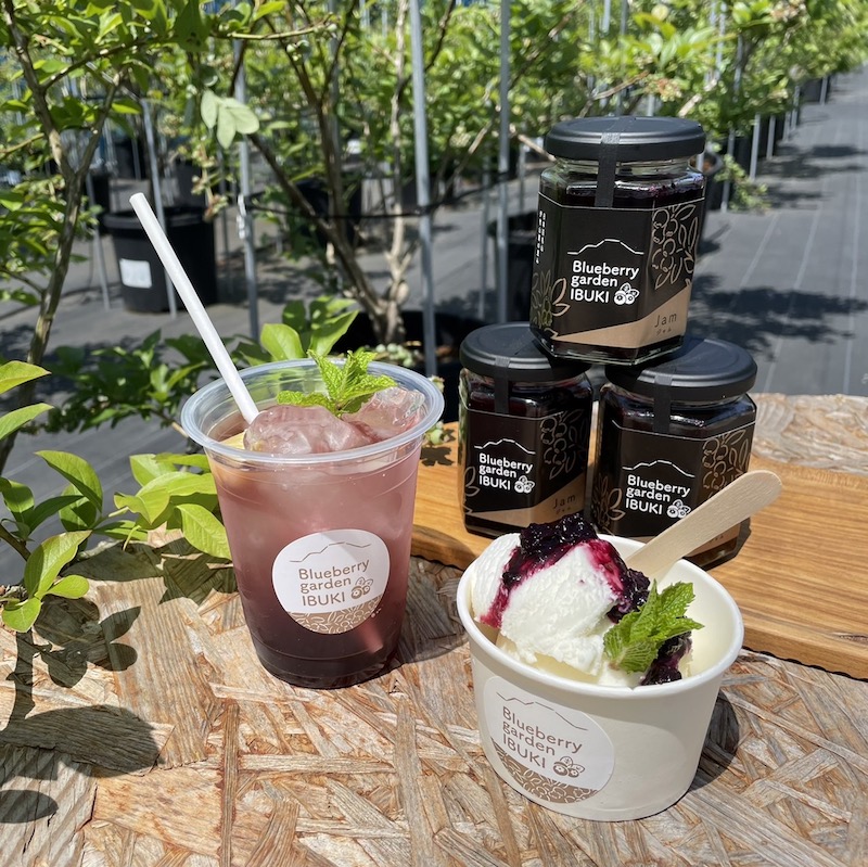 Blueberry Garden Ibuki