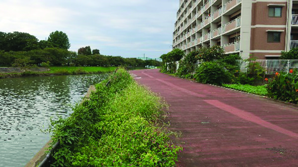 F-6 綾瀬川緑道