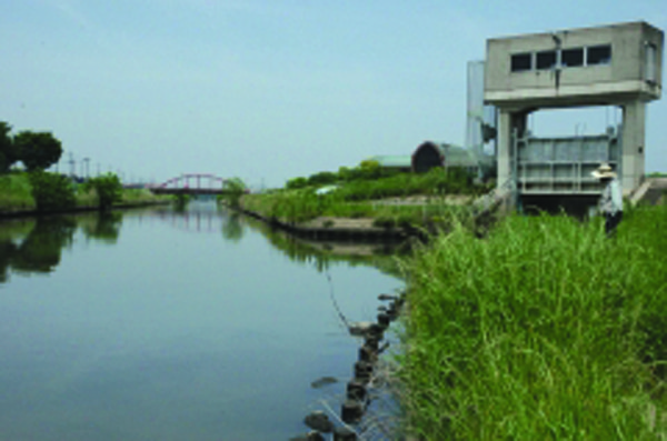 B-1 新方川と平新川の合流点